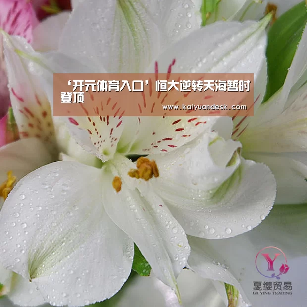 ‘开元体育入口’恒大逆转天海暂时登顶(图1) 开元体育官网